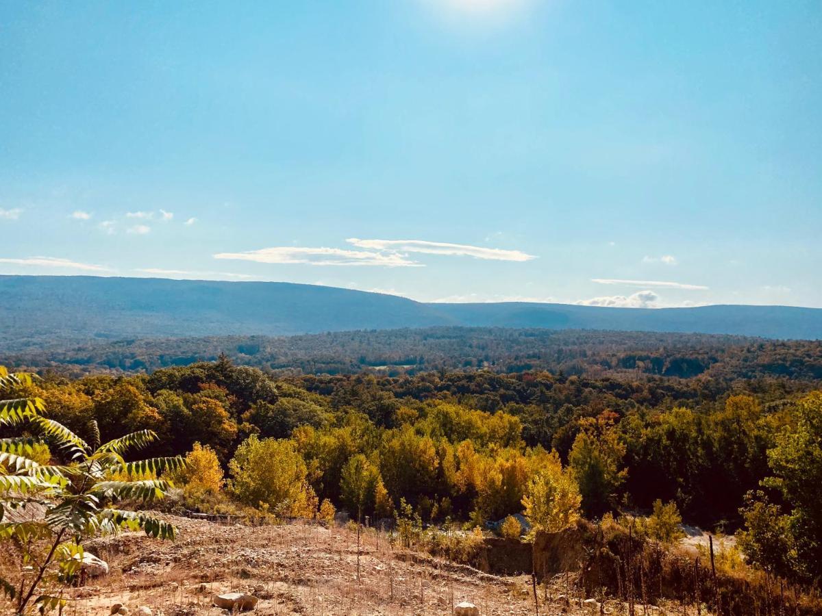 Arcady Mountain Motor Lodge Sunderland Екстериор снимка