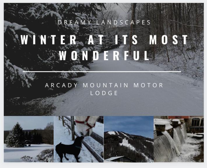 Arcady Mountain Motor Lodge Sunderland Екстериор снимка